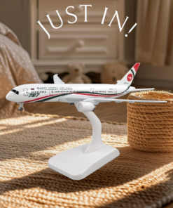 Aircraft Plane Toyair Bangladesh Biman 787 Model Alloy for Gift Diecast 1:400 skala bangladesz Airlines